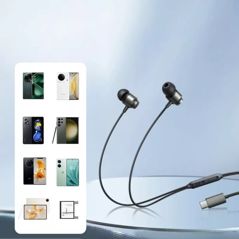 Joyroom JR-EC06 Auricolari intrauricolari con cavo, telecomando e microfono, USB-C, grigio