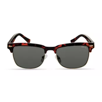 KENNETH COLE KC2972-5352N Occhiali da sole uomo havana marrone 53mm