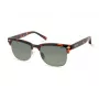 KENNETH COLE KC2972-5352N Occhiali da sole uomo havana marrone 53mm