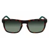 Lacoste L956S-230 occhiali da sole da uomo havana marrone rettangolari acetato 55 mm