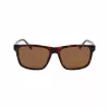 Lacoste Occhiali da sole uomo L6025S-219 Havana verde 56mm
