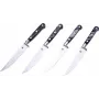 Laguiole set di coltelli da bistecca da 4 pezzi con manico in resina