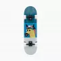 Landyachtz ATV Classic Flower Cat skateboard
