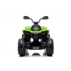 LEAN CARS Quad elettrico CAN-AM Renegate verde