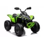 LEAN CARS Quad elettrico CAN-AM Renegate verde