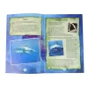 LEAN TOYS Ammonite Squalo kit di scavo educativo