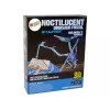 LEAN TOYS Set scavo archeologico scheletro dinosauro Pteranodonte ologramma 3D