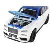 LEAN TOYS Auto R/C 1:20 bianca e blu radiocomandata