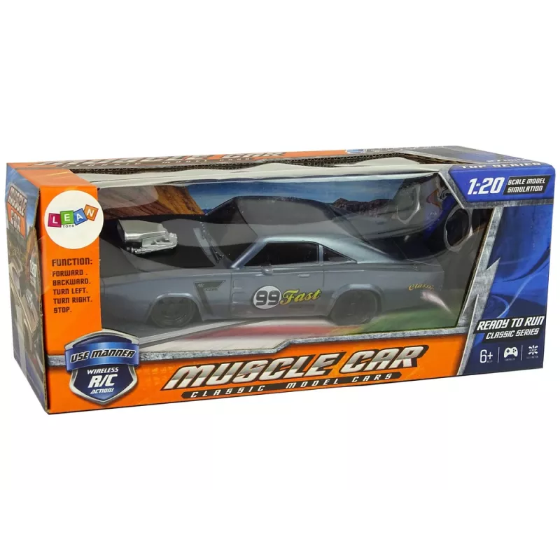 LEAN TOYS Auto R/C Sports Sticker 1:20 grigia pilota