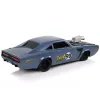 LEAN TOYS Auto R/C Sports Sticker 1:20 grigia pilota