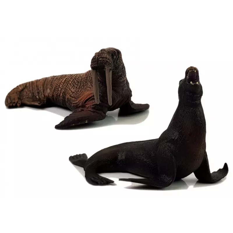 LEAN TOYS Figure didattiche animali marini 8 pezzi squali foca delfino tricheco tartaruga