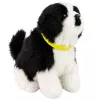 LEAN TOYS Cane peluche interattivo pelo morbido razza Border Collie