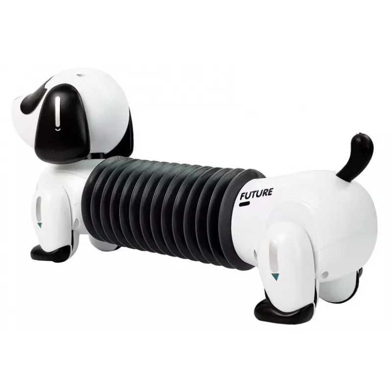 LEAN TOYS Cane robot interattivo radiocomandato, musica, suoni, palla con telecomando