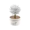 LEAN TOYS Magic Tree Cristallo in crescita Argento Esperienze