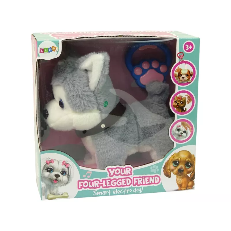 LEAN TOYS Cane di peluche interattivo educativo guinzaglio canzoni passeggiate