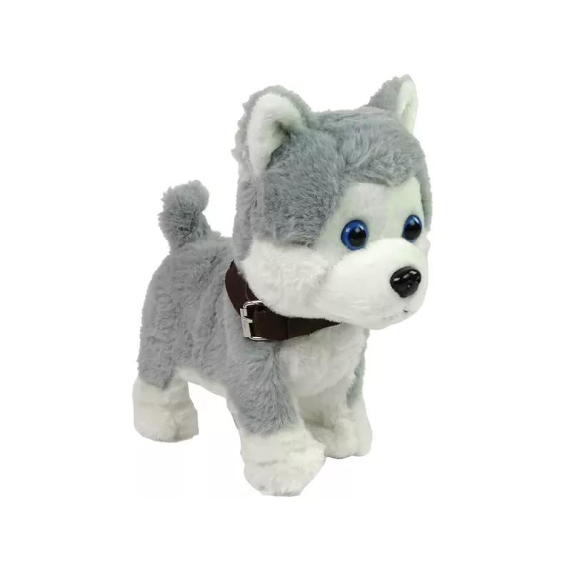 LEAN TOYS Cane di peluche interattivo educativo guinzaglio canzoni passeggiate
