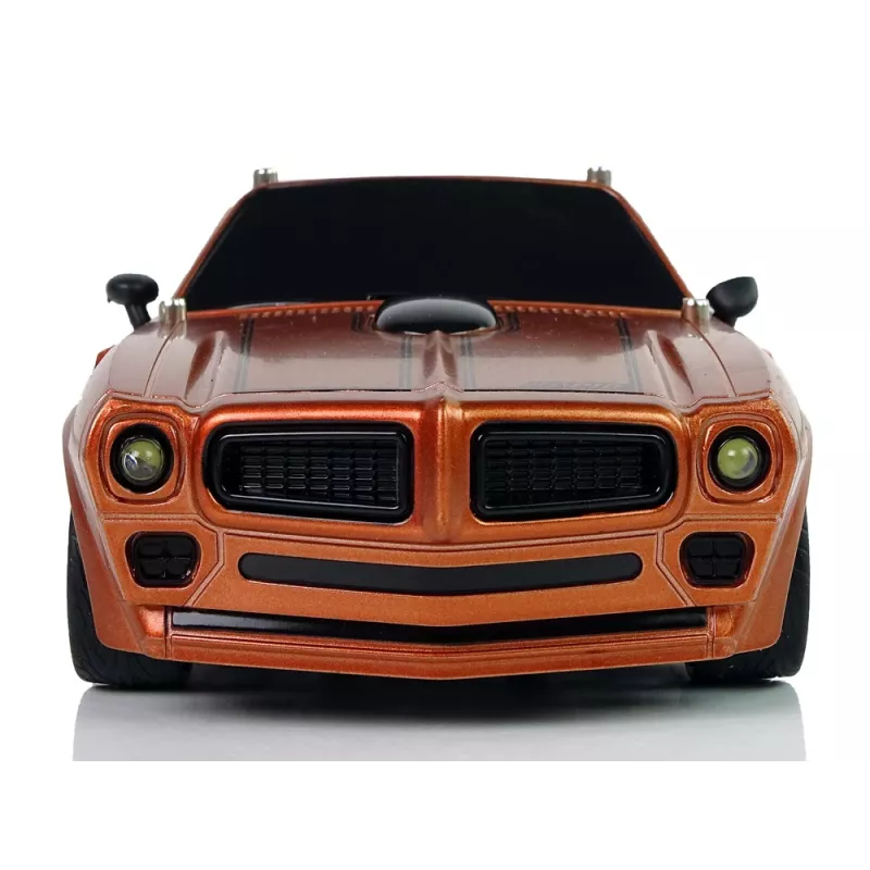 LEAN TOYS Auto sportiva R/C 1:18 marrone Champion pilota