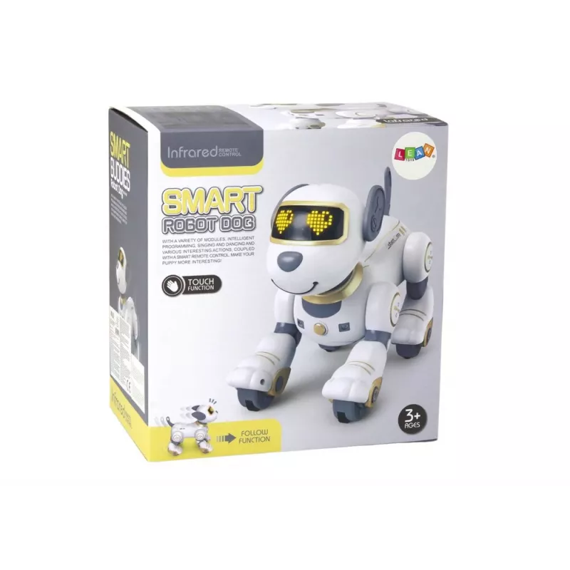 LEAN TOYS cane robot interattivo radiocomandato – oro, danzante, programmabile, ricaricabile