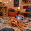 LEAN TOYS Spider Tarantula Figura in gomma estensibile realistica 12 cm