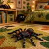 LEAN TOYS Spider Tarantula Figura in gomma estensibile realistica nera 10 cm