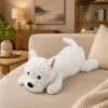 LEAN TOYS West Highland White Terrier Peluche cane peluche, bianco, 40 cm