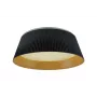 LED LENSER plafoniera TAI D45 4000K nero