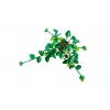 LEGO BOTANICALS 11512 Edera del drago rampicante set da costruzione