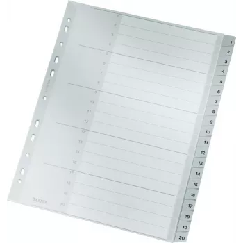 LEITZ 1284 A4 fogli divisori numerati extra-large 1-20, grigio, 20 parti, polipropilene, 0,12 mm, con copertina personalizzabile 1284-00