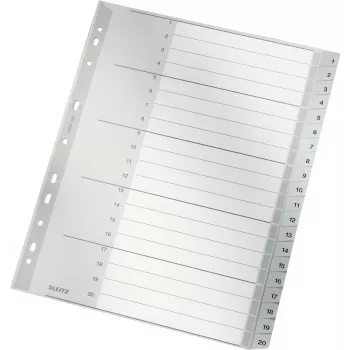 LEITZ 1284 A4 fogli divisori numerati extra-large 1-20, grigio, 20 parti, polipropilene, 0,12 mm, con copertina personalizzabile 1284-00