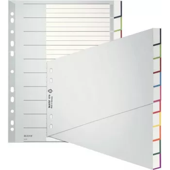 Leitz A4 divisori bianchi, polipropilene, grigio, 10 parti, foratura universale 1270