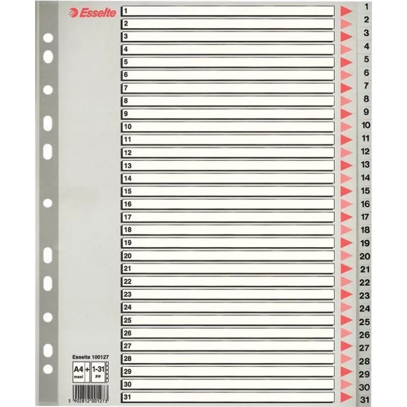 LEITZ A4 raccoglitori in plastica extra larghezza, 20 pezzi, foratura universale, bianco traslucido 1278-00-00