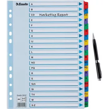 Esselte A4 Mylar Indice A-Z, 20 parti, multicolore (100167)