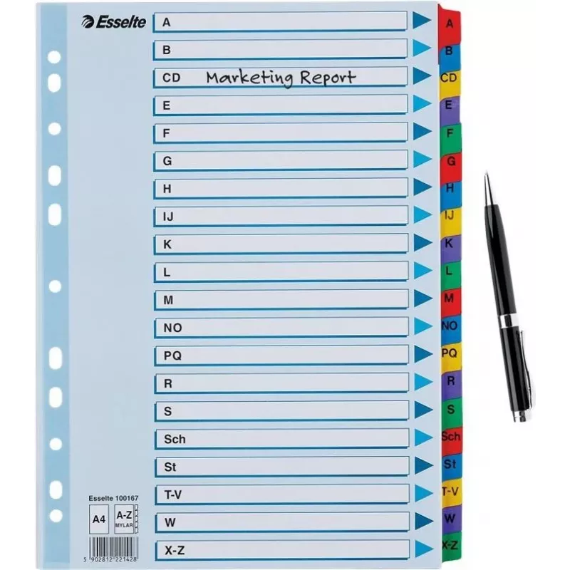 Esselte A4 Mylar Divisori con indice A-Z, 20 parti, multicolore (100167)