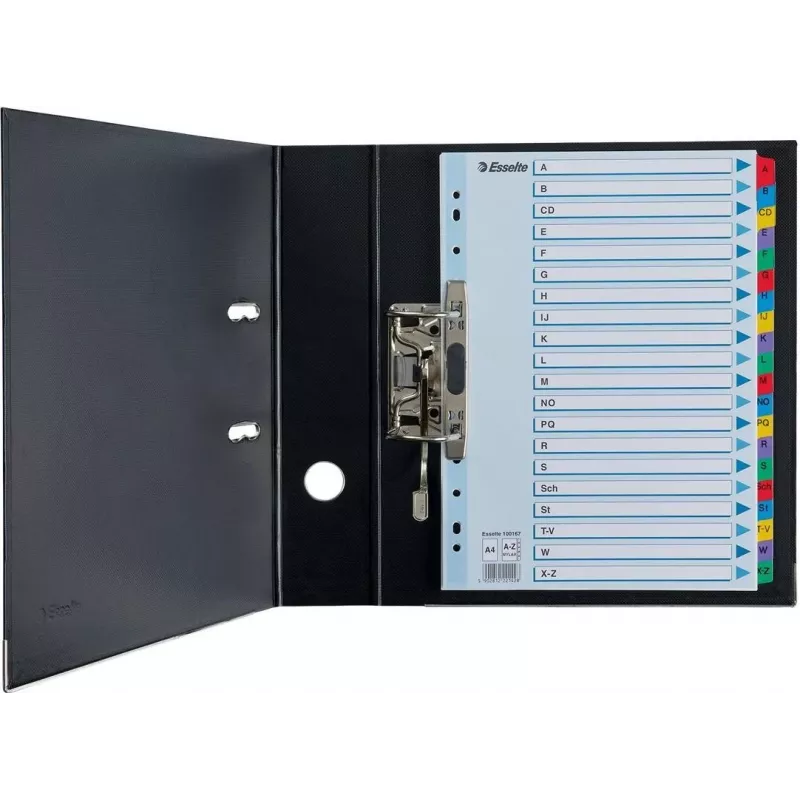 Esselte A4 Mylar Divisori con indice A-Z, 20 parti, multicolore (100167)