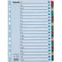 Esselte A4 Mylar Divisori con indice A-Z, 20 parti, multicolore (100167)
