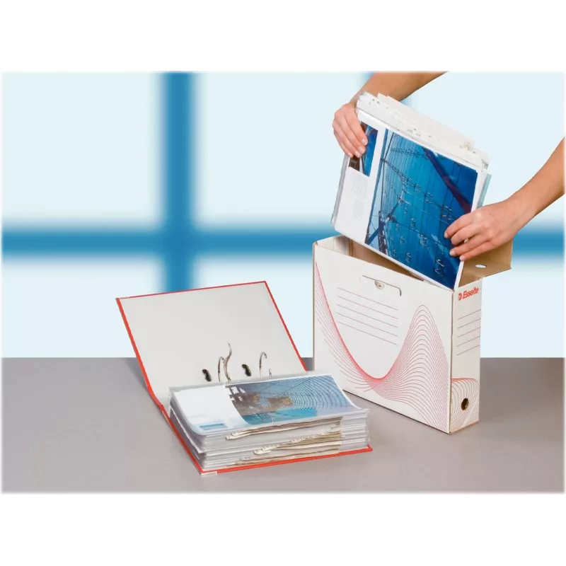LEITZ Esselte scatola archivio, dorso 100 mm, cartone ondulato bianco con linee prestampate per l'organizzazione (128201)