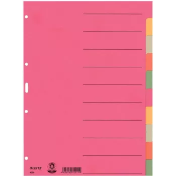 LEITZ segnaposto in cartoncino extra resistente, linguette bianche, A4, 10 parti, multicolore, 230 g/m², cartoncino tinto in pasta a 5 colori (4359-00-00)