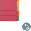 LEITZ segnaposto in cartoncino extra resistente, linguette bianche, A4, 10 parti, multicolore, 230 g/m², cartoncino tinto in pasta a 5 colori (4359-00-00)