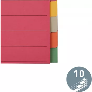 LEITZ segnaposto in cartoncino extra resistente, linguette bianche, A4, 10 parti, multicolore, 230 g/m², cartoncino tinto in pasta a 5 colori (4359-00-00)