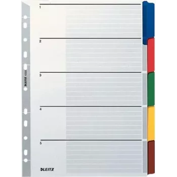 LEITZ Segnapagina in cartoncino Mylar, bianco, A4, 5 parti, linguette grigie, 160 g/m², con copertina personalizzabile 4320-00-00
