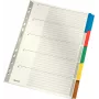 LEITZ Segnapagina in cartoncino Mylar, bianco, A4, 5 parti, linguette grigie, 160 g/m², con copertina personalizzabile 4320-00-00
