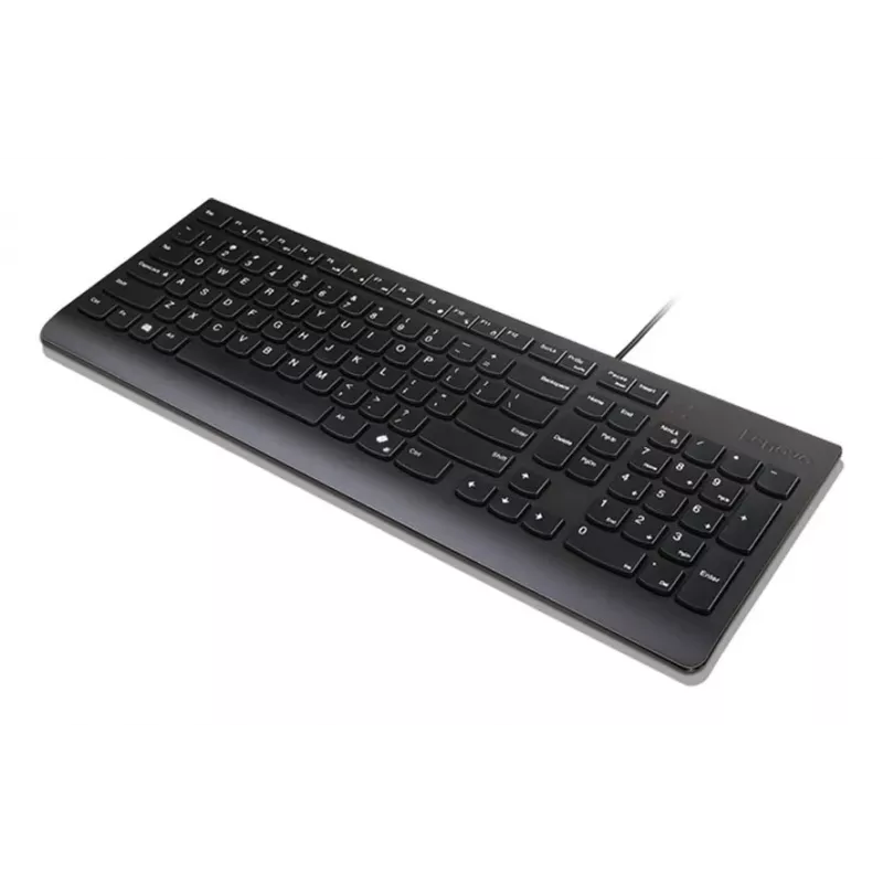 Lenovo Essential Keyboard - Layout a 2,5 zone - USB con filo - QWERTZ - tedesco - Raven Black
