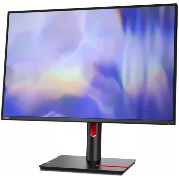 Lenovo T24D-30 24 pollici IPS WUXGA monitor - nero (ricondizionato)