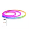 Lepro N1 Striscia LED neon 3m RGBIC Wi-Fi app e controllo vocale, IP67 dimmerabile