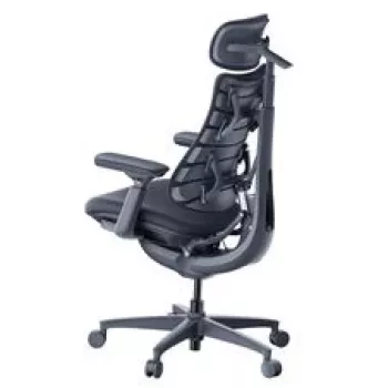 LiberNovo Omni sedia da ufficio ergonomica con schienale attivo e funzione massaggio, nero