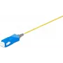 Cavo patch in fibra ottica Lightwin PIG 09 SC 2.0 2 m multicolore