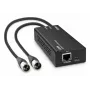 LINDY decoder audio Dante su XLR 2 canali 70619