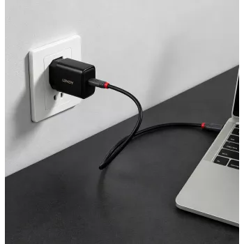 Lindy caricabatterie USB Type-C GaN 65W (73448)