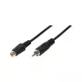 LogiLink Cavo prolunga audio RCA maschio su RCA femmina, 10 m, nero