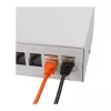 LOGILINK NP0094 Consolidation Point Box 12 porte, montaggio a tavolo/parete/guida DIN, grigio chiaro